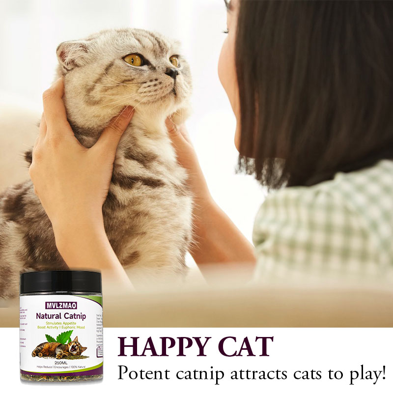 Cat Toys - Silvervine Catnip f - огляд і ціна Nettle Leaf Tea